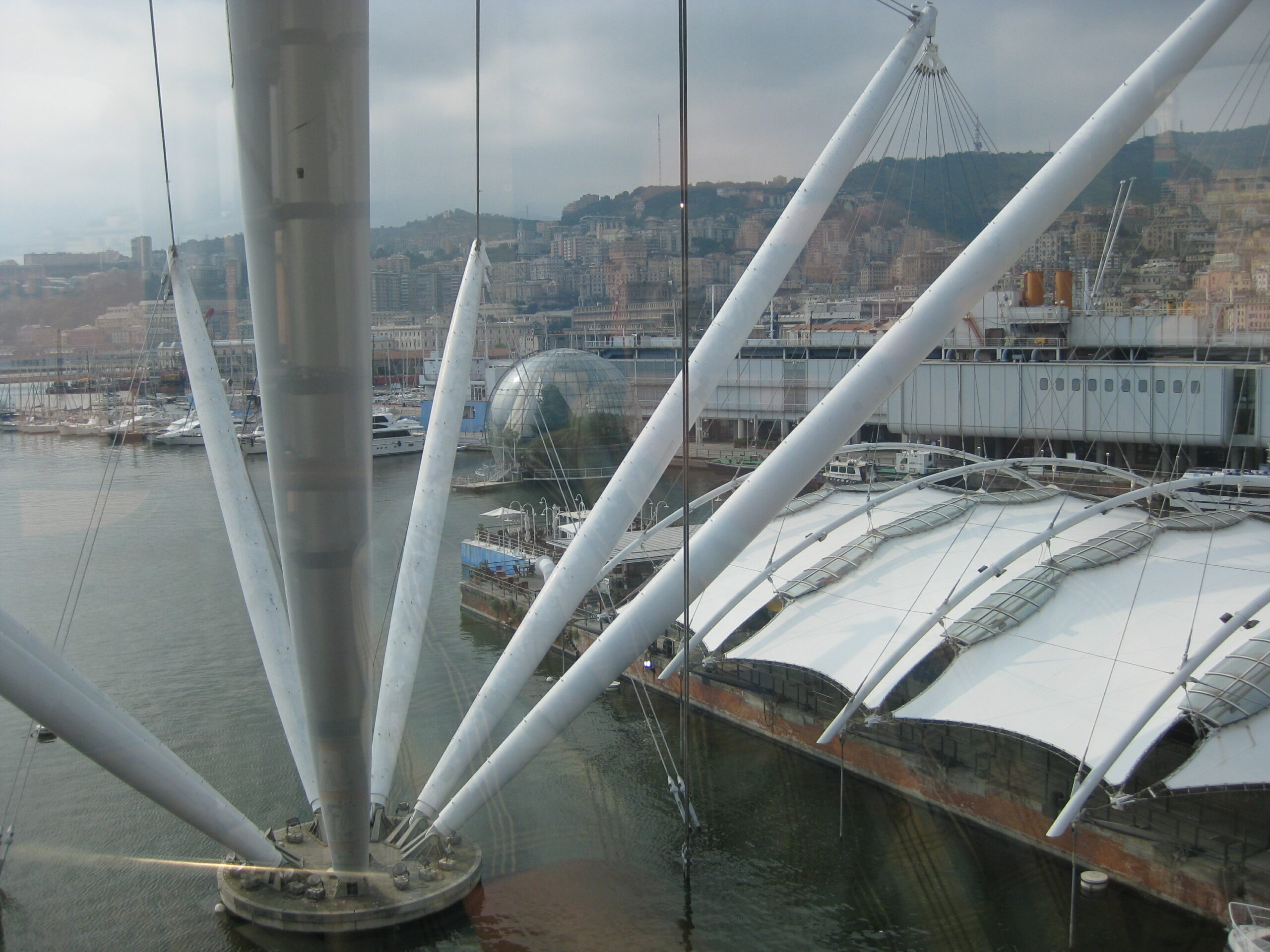 Al momento stai visualizzando Genova