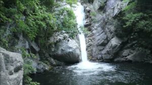 Scopri di più sull'articolo Cascata di Pietracupa – Guardavalle