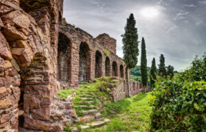 Scopri di più sull'articolo Giardino dei Ciucioi