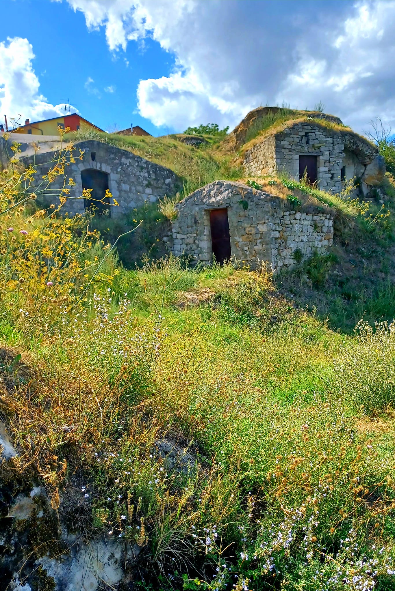 Scopri di più sull'articolo Parco dei Palmenti