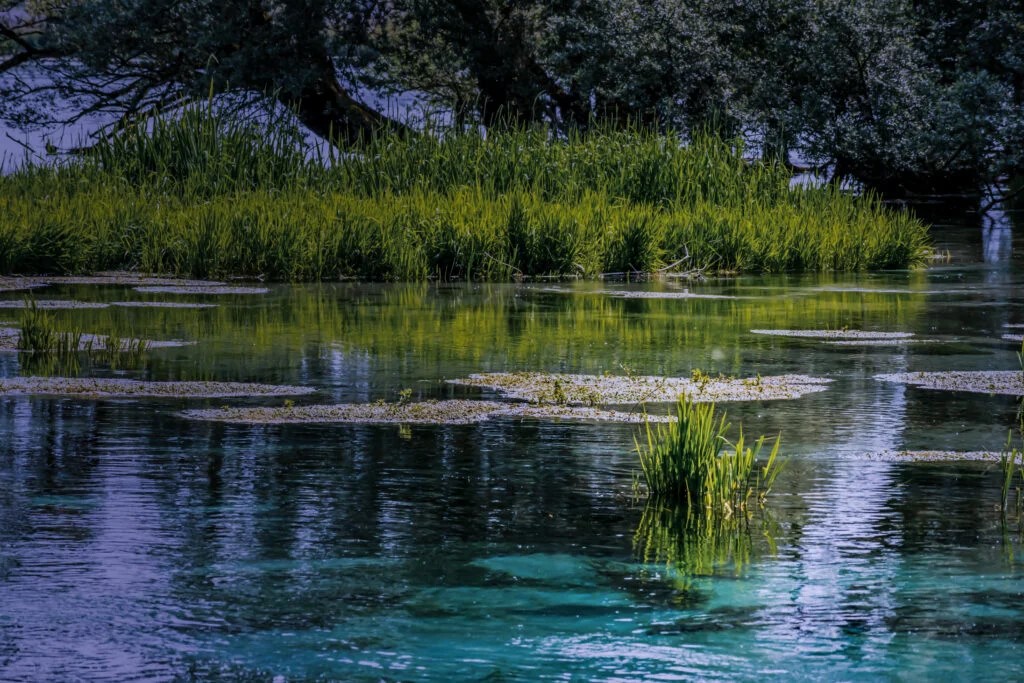 Scopri di più sull'articolo Lago di Posta Fibreno