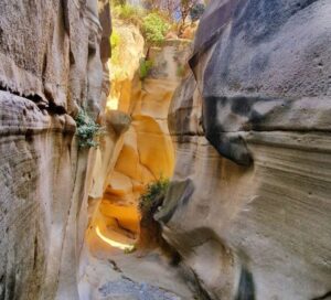 Scopri di più sull'articolo Canyon di Rocca Boara